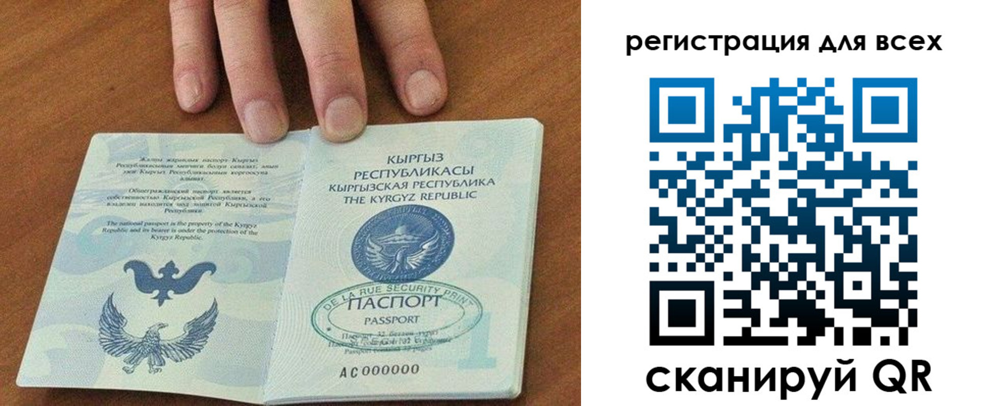 прописка для школы в Куртамыше